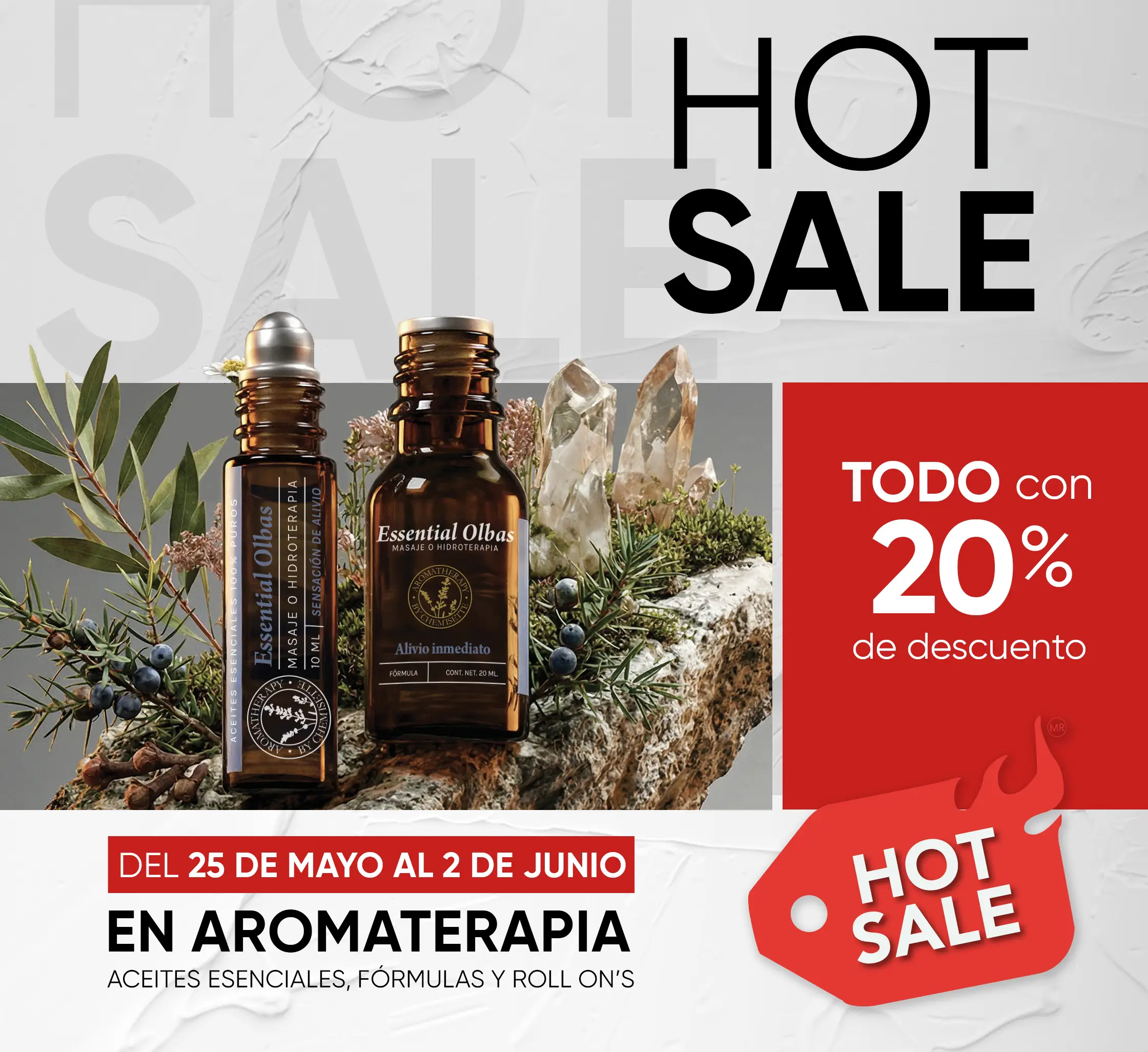 Hot Sale - Chemisette