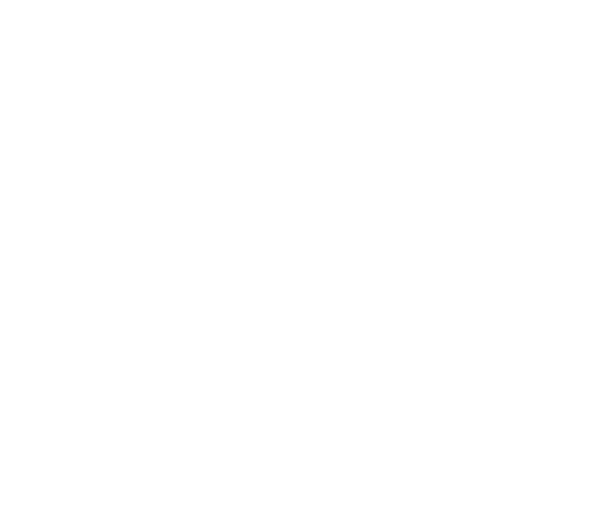 ideal warm icon
