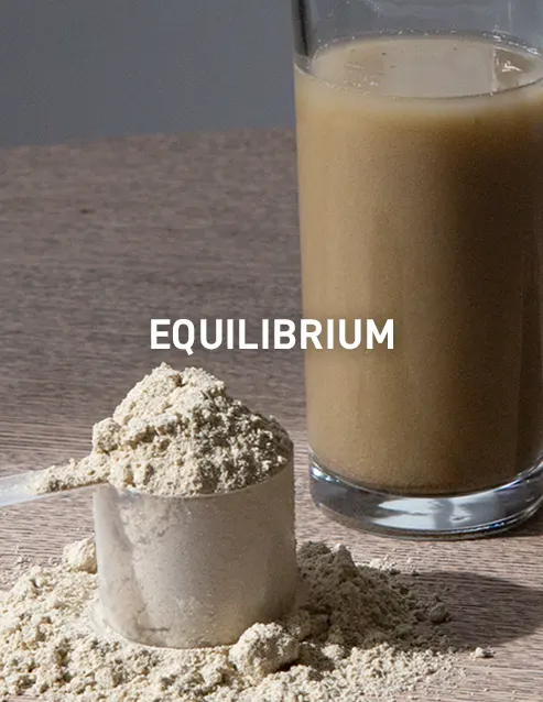 Equilibrium