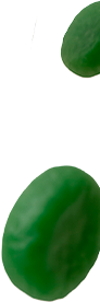 gomitas