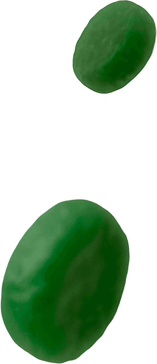 gomitas