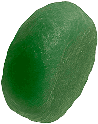 gomitas