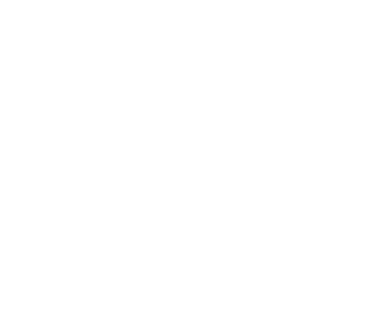 fundación alas