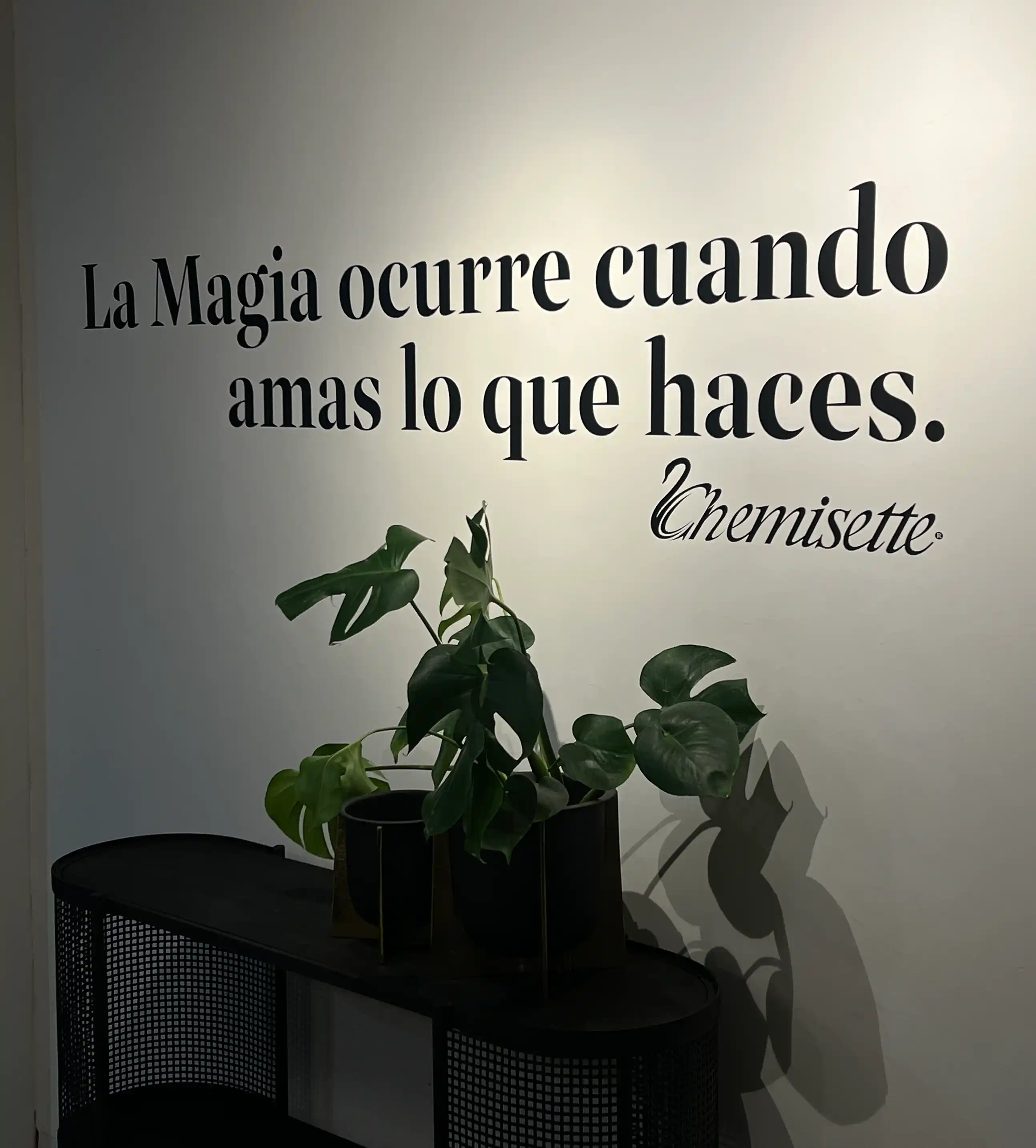 oficinas guadalajara